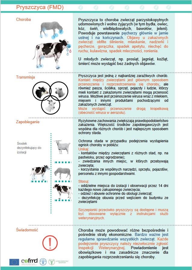 Ulotka FMD